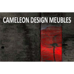 Caméléon Design