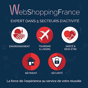 webshoppingfrance-secteurs.jpg